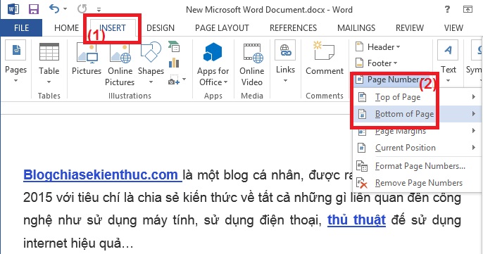 Cách đánh số trang trong Word 2013