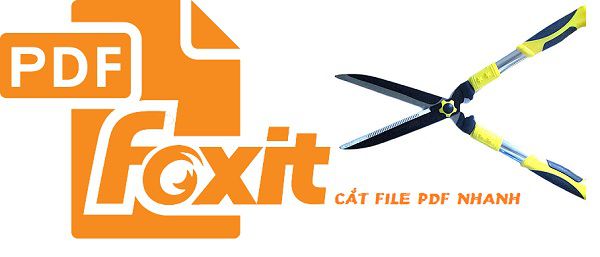 cat-file-pdf-8