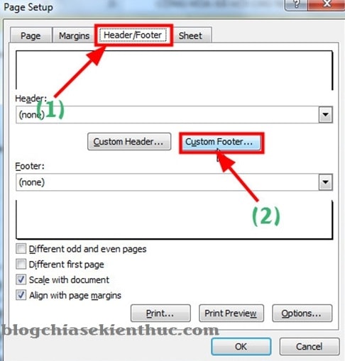 danh-so-trang-trong-excel-2