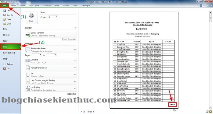 danh-so-trang-trong-excel-4