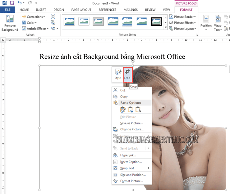 Cách xóa Background bằng Word, Resize ảnh bằng Word, Excel..