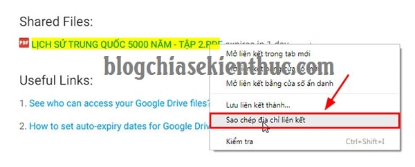 gioi-han-thoi-gian-chia-se-link-google-drive (7)
