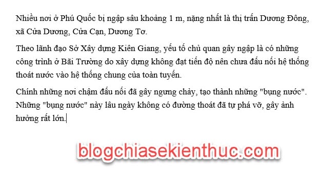 tao-chu-cai-lon-dau-dong-trong-word (1)