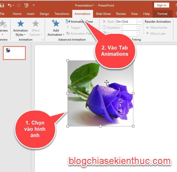 Cách làm mờ ảnh nền trong PowerPoint  Điều chỉnh chế độ hiển thị ảnh  background