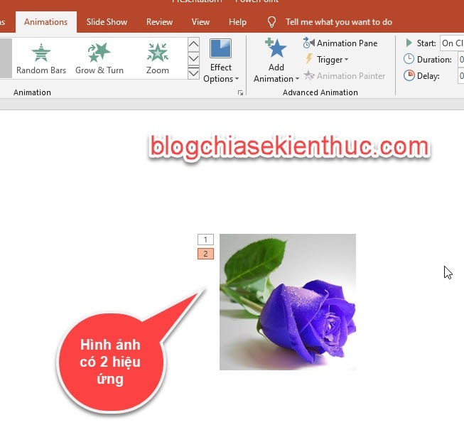 cach-tao-hieu-ung-cho-hinh-anh-trong-powerpoint (5)
