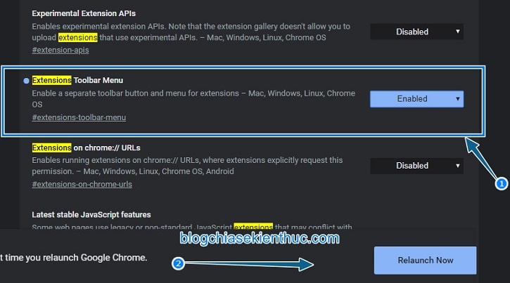 activate-Extensions-Toolbar-Menu-on-chrome (5)