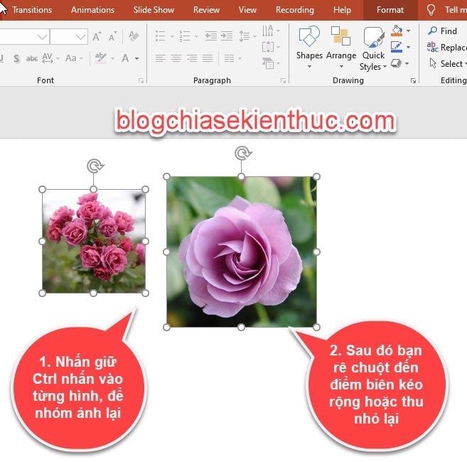 powerpoint-in-power -point-powerpoint (8)