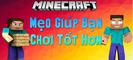 meo-choi-game-minecraft-cuc-hay