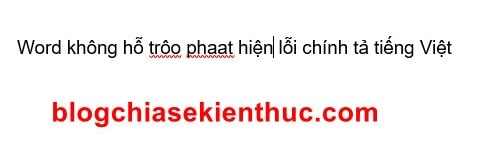 soat-loi-chinh-ta-tieng-viet-trong-word (8)