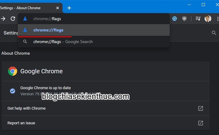 Polio-google-chrome-chrome-based-on-google-chrome (4)