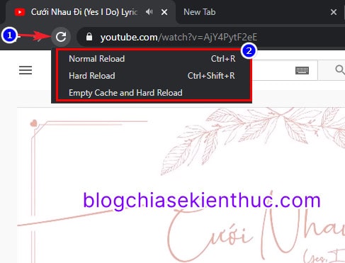 cac-kieu-Reload-trang-tren-google-chrome (3)
