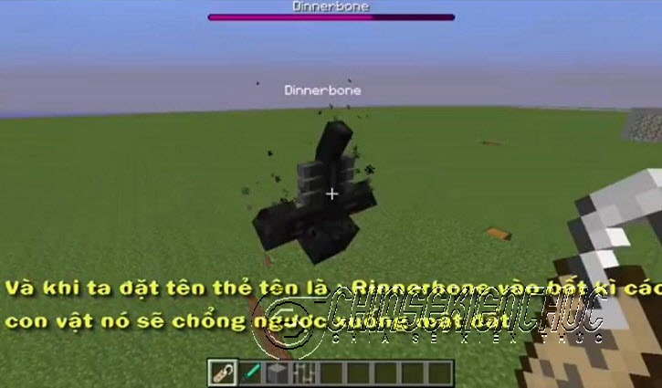 Бирка майн. Dinnerbone. Динербоун в майнкрафт. Dinnerbone бирка. Бирка динербоун майнкрафт.