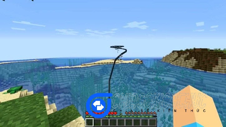 cay-dinh-ba-trong-minecraft (5)