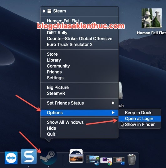 play windows games on mac steam