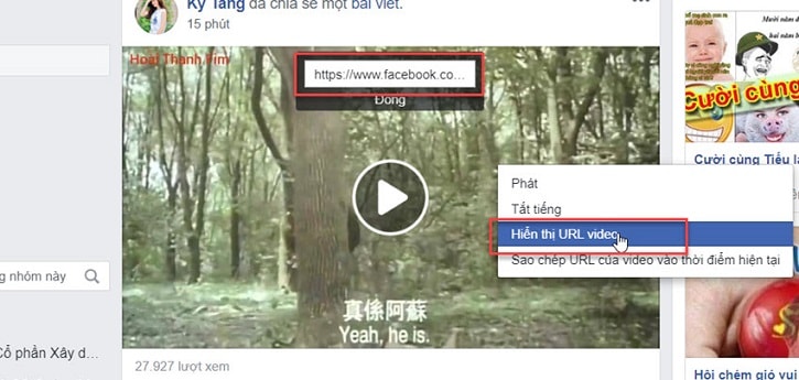 tai-hang-loat-video-tren-facebook-cung-luc-ve-may-tinh (8)