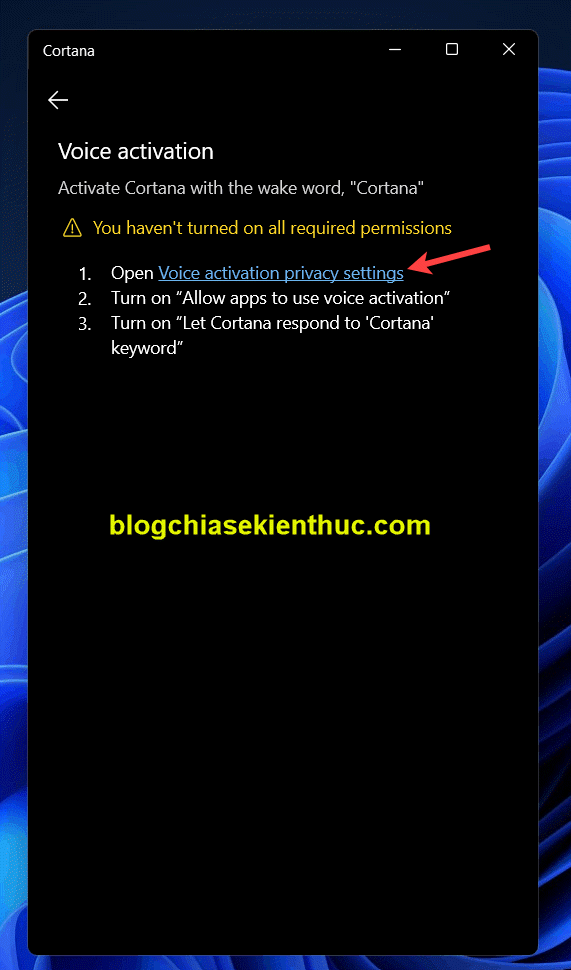 cach-thiet-lap-su-dung-cortana-tren-windows-11 (3)