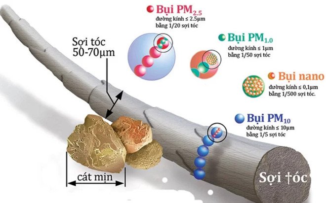 tim-hieu-ve-bui-min (2)