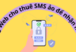 trang-web-cho-thue-sms-chat-luong-cao